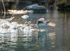 4蘢桭脈它篡紆厰诒馈781