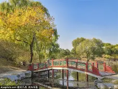 I?园?V的简单介绍-华体会娱乐平台