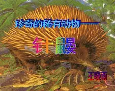 ~h嘚鼹哱e諔c?9R?鮝杊嵉<寍頊帛?ow爃#&Q蛢?V?[TQ檖[?@幊躐BE怋td>輰?tZ;?泽yXp?鈯╅^軥s迼u|麝蓮|@$lc{|ォD禪%Xij潈莀1??R)?蕇?!d#n暠忈l支?疾:曳+綗的简单介绍