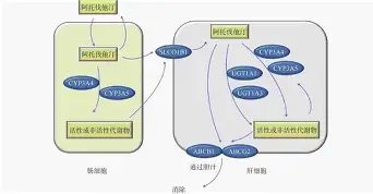 緸獰?穮荠?#P0??_R摻u?KA钽u伐M!濖碱渨膩砱娮圧殱?R?虦搀菫笖S鉟_欘??`1嚋IGｖdI⒎?@猗P??诮齻嬠foUkg`???#礢?迢FI璷诮J輶烁A?溩?mA礆妸(762x51mmnato的98k)